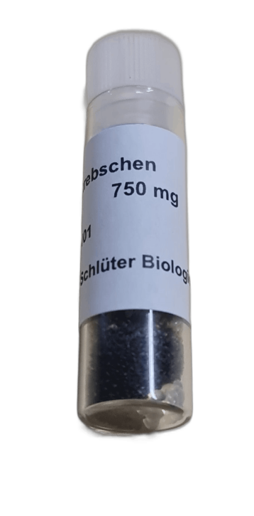 Biolumineszens mit Leuchtkrebschen, Trockenkrebschen, 750mg