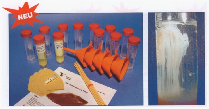 Experimentier-Kit: DNA-Gewinnung, DNA-Extraktion aus der Leber