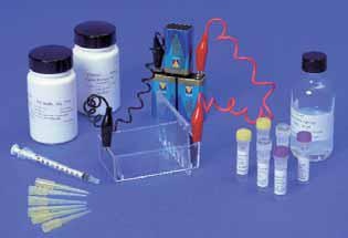 Schlüter-Kit: Elektrophorese-Verfahren, Elektrophorese von DNA