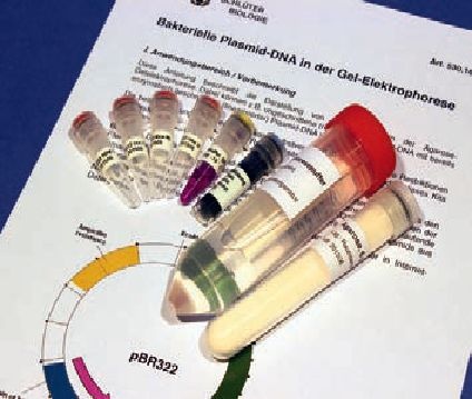 Experimentierkit Bakterielle Plasmid-DNA in der Gel-Elektrophorese