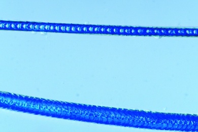 Mikropräparat - Angorawolle