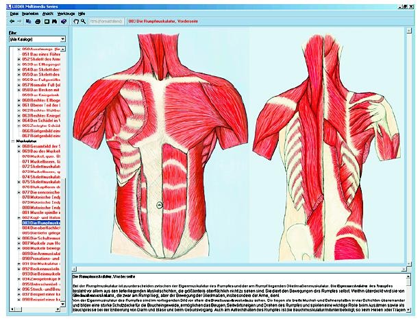 Skelett, Muskulatur und Bewegungsapparat des Menschen, Interaktive CD-ROM
