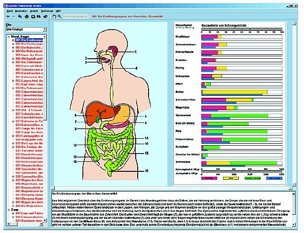 Ernährungsorgane und Stoffwechsel des Menschen, Interaktive CD-ROM