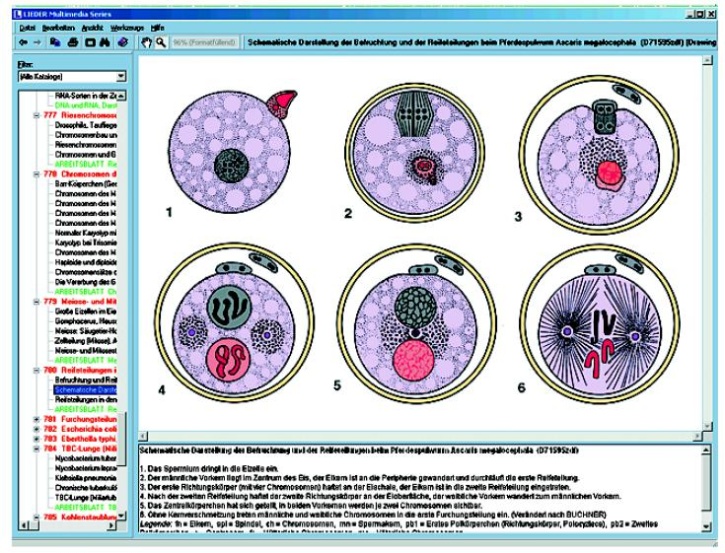 Embryologie und Entwicklung, Interaktive CD-ROM
