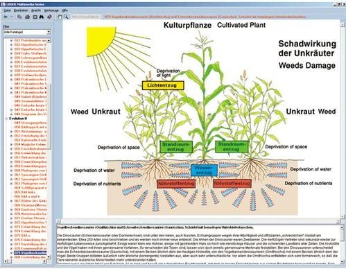 Pflanzenschäden und Pflanzenschutz (Nutzpflanzen), Interaktive CD-ROM