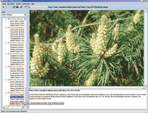 Pflanzenkunde im Unterricht (neue und erweiterte Version V2.0), Interaktive CD-ROM