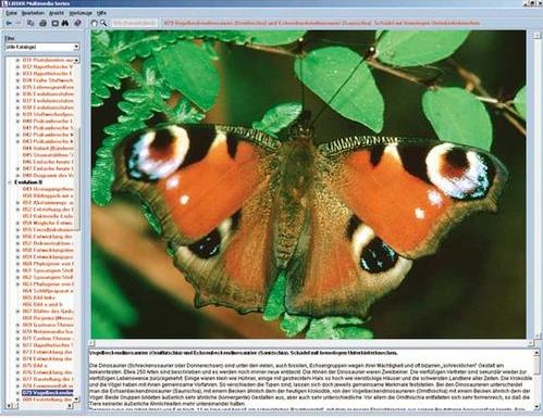 Die Welt der Schmetterlinge, Interaktive CD-ROM