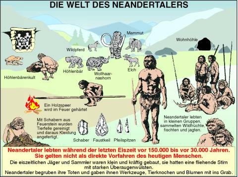 Transparentsatz Die Welt des Neandertalers
