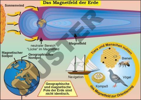 Transparentsatz Das Magnetfeld der Erde