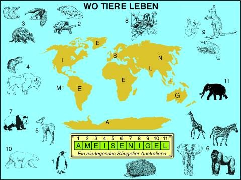 Transparentsatz Wo Tiere leben (Tiergeographie)