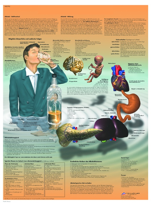 Anatomische Lehrtafel, Alkoholabhängigkeit