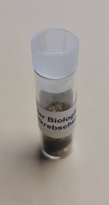 Biolumineszens mit Leuchtkrebschen, Trockenkrebschen im Gläschen, 250 mg, für ca. 15-20 Versuche