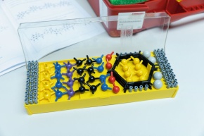 Klassensatz mit je 5x Box Molekülbaukasten 1 und 2