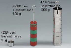 Scheibengewichte - Satz, 1000 g