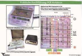 Schlüter-Kit: Genetischer Fingerabdruck