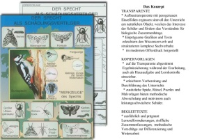 Transparentmappe Grundwissen Botanik 1, Blütenpflanzen