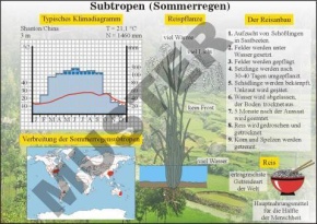 Transparentsatz Die Subtropen