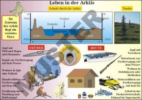 Transparentsatz Die Polargebiete