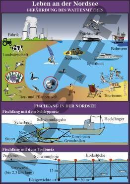 Transparentsatz Leben an der Nordsee